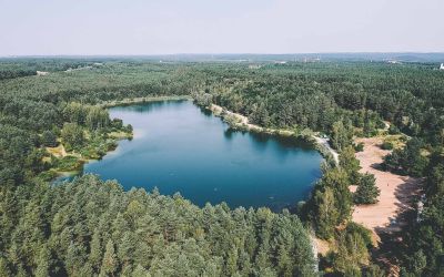 Großer Birkensee bei Röthenbach an der Pegnitz Luftbild