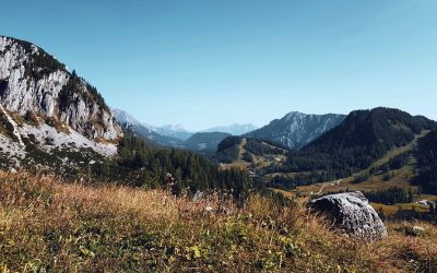 Fruehlingswanderungen in Europa scaled