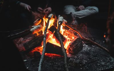 photo 1560356575 413d30aba6d6 scaled