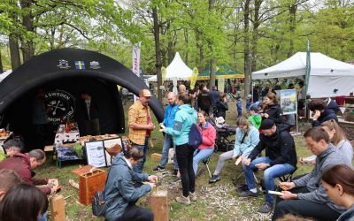 Globetrotter Freiluft Testival Dresden